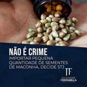 Não é crime importar poucas sementes de maconha