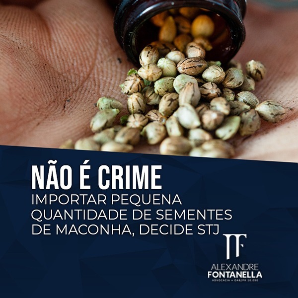 Não é crime importar poucas sementes de maconha