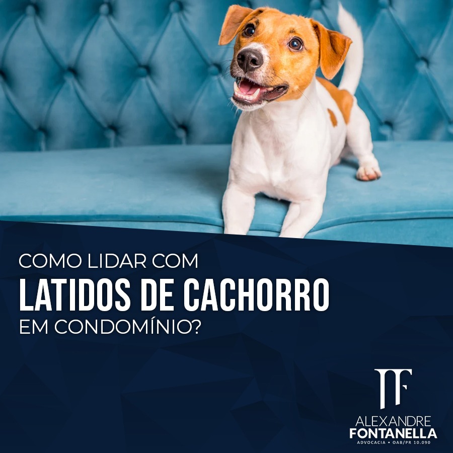 Como lidar com latidos em condomínio?