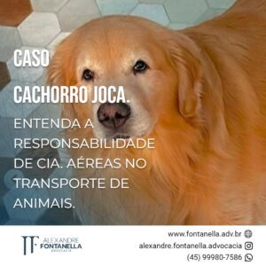 Qual a responsabilidade da Cia Aérea GOL no caso JOCA?