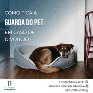 Como fica a guarda do PET em caso de divórcio?