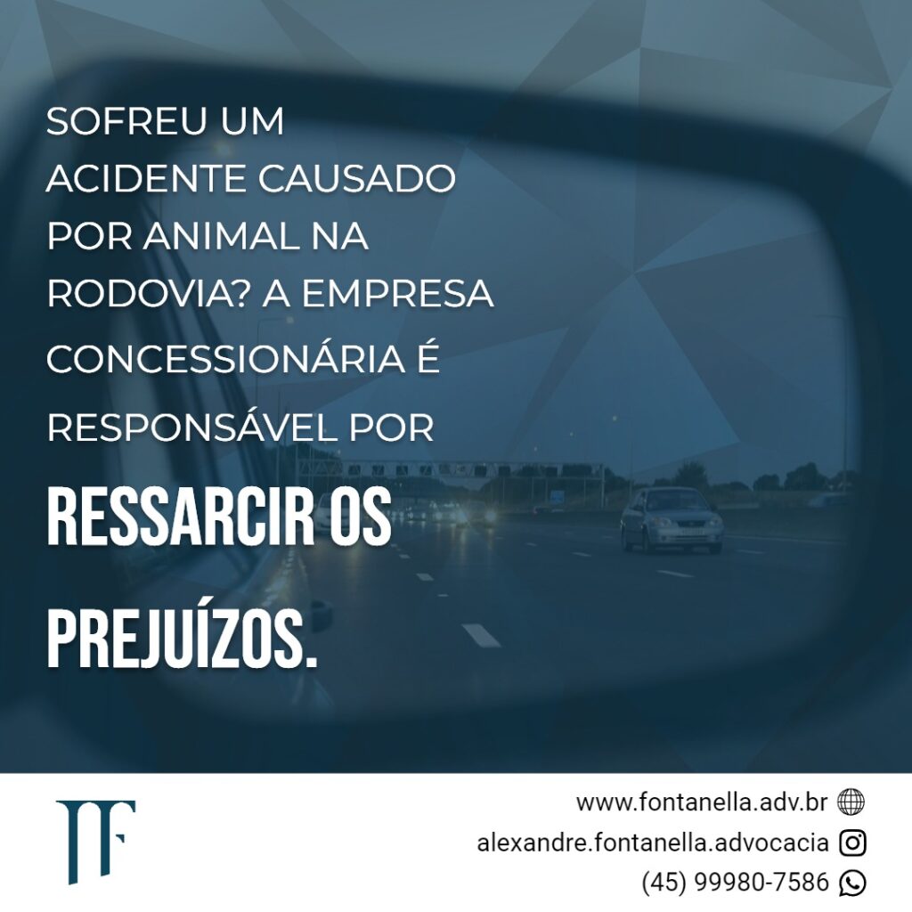 Concessionária é Responsável Acidente com Animal na Rodovia