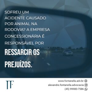 Concessionária é Responsável Acidente com Animal na Rodovia