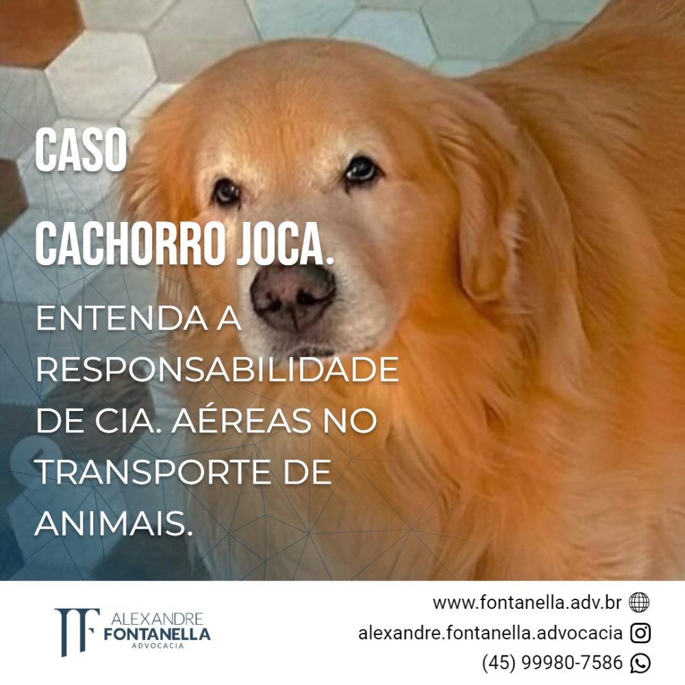 Qual a responsabilidade da Cia Aérea GOL no caso JOCA?